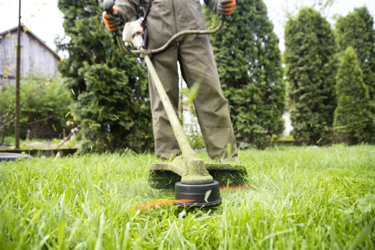 Grass/Lawn Cutting & Trimming