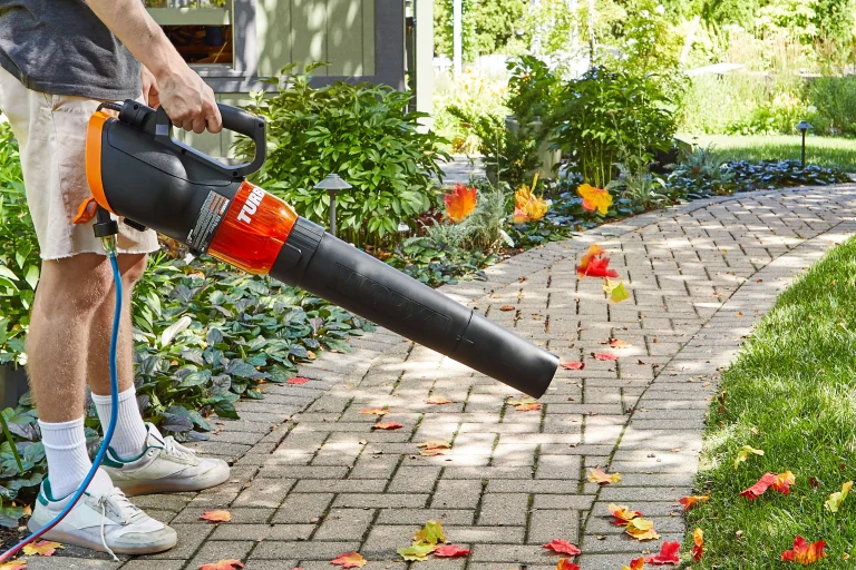 Leaf blower