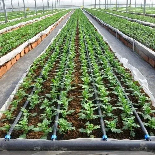 Drip irrigation system