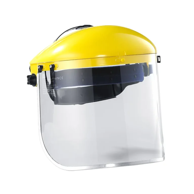 Face shield