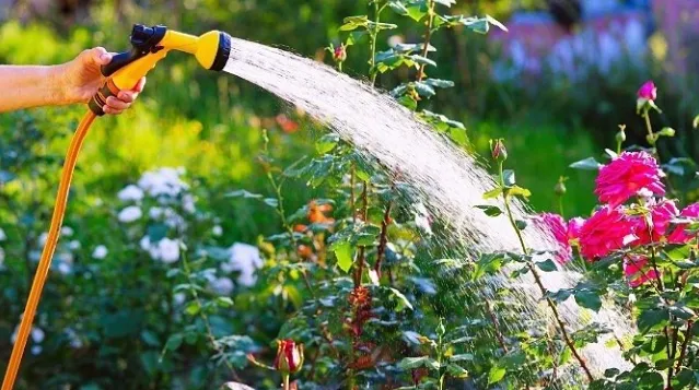Garden hose