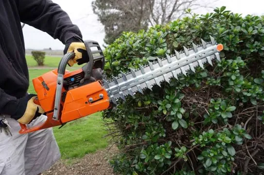 Hedge trimmer