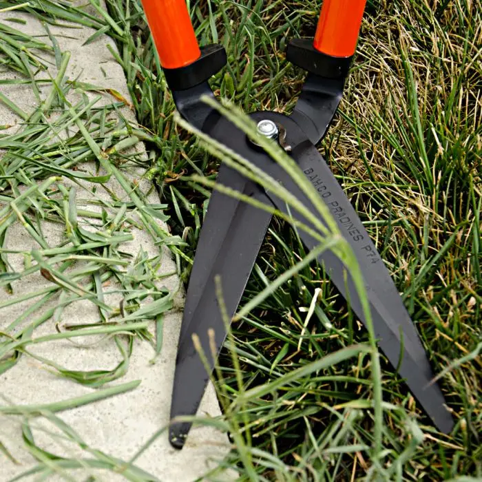 Grass shears