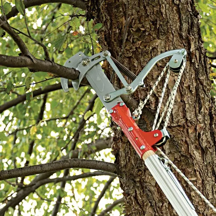 Pole pruner