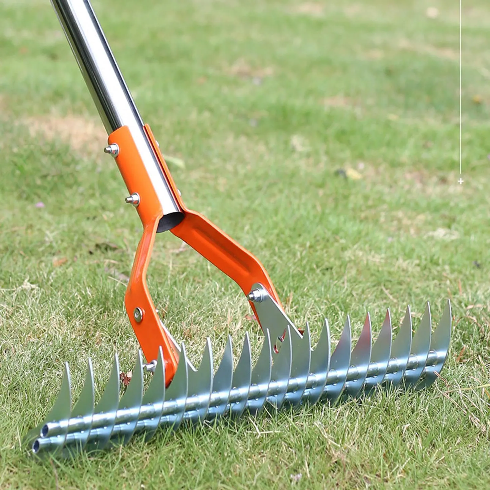 Thatch rake