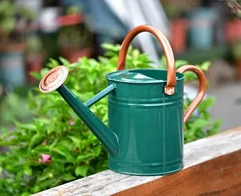 Watering can