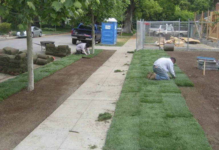 Grass Planting / Lawn Establishment