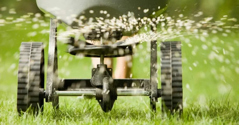 Seed spreader